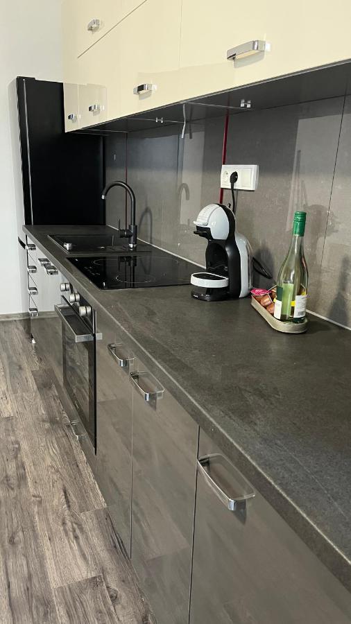 Downtown Boutique Apartments 리베레츠 외부 사진